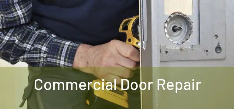  Commercial Door Repair 