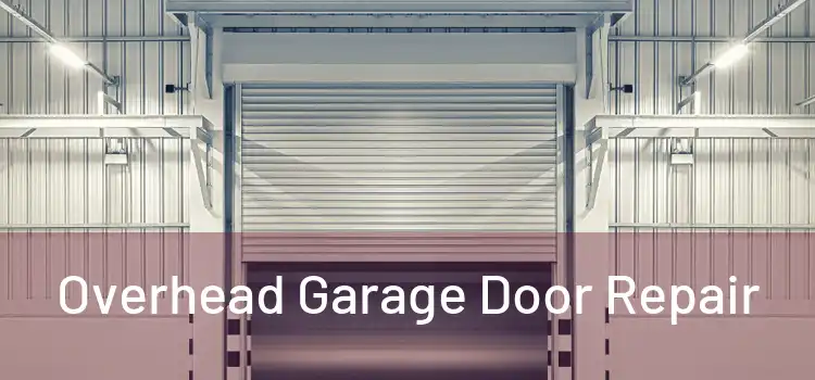  Overhead Garage Door Repair 
